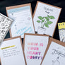 Encouragement Bundle, 5-PACK
